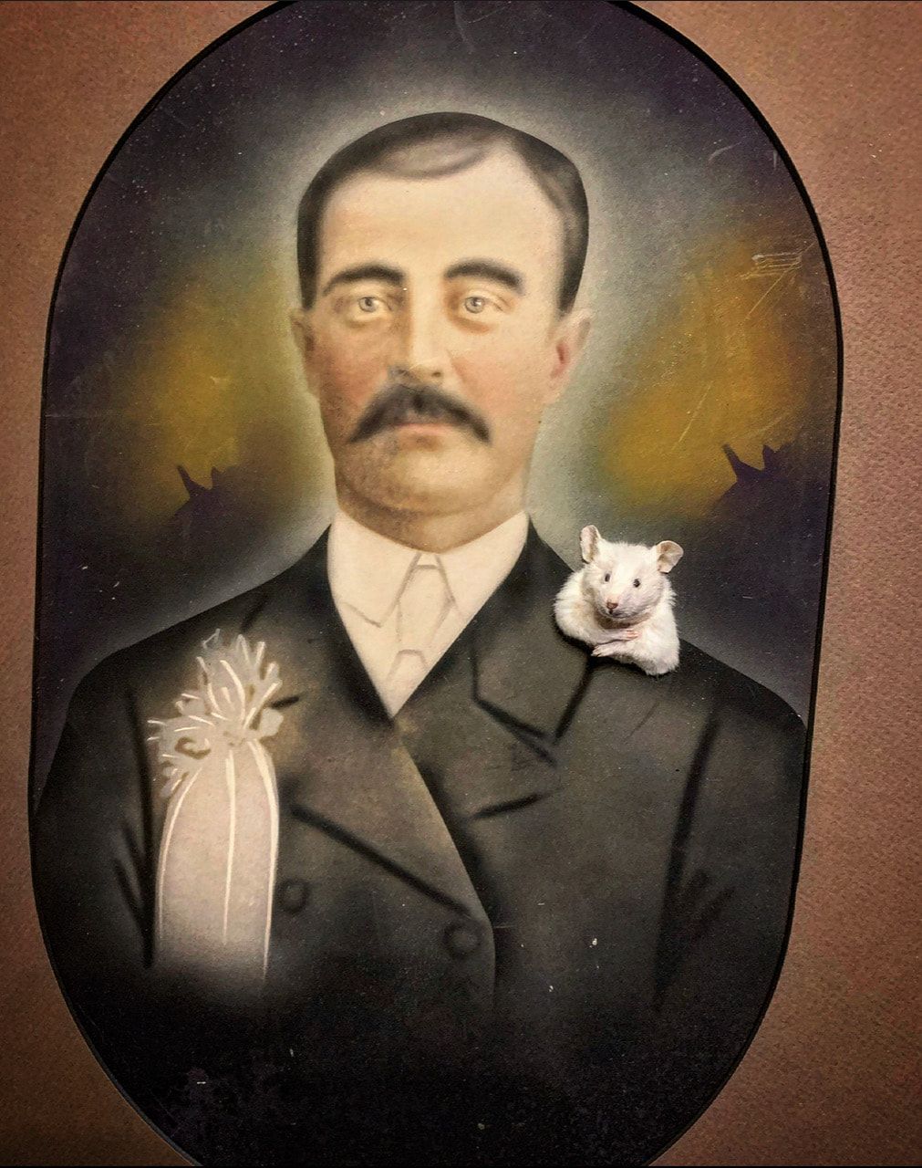 Tiny Taxidermy • 10/7 • 10am-1pm