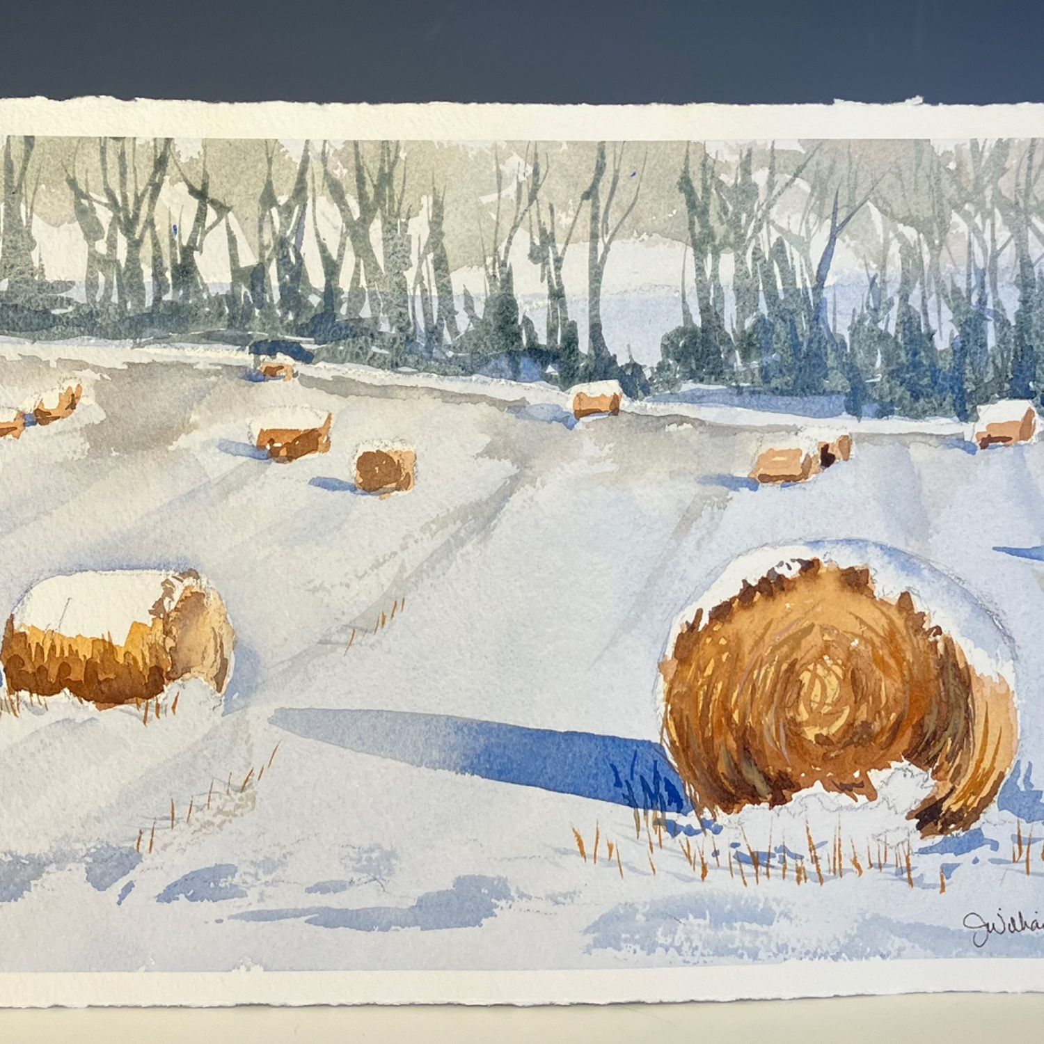 Snowy Hay bales