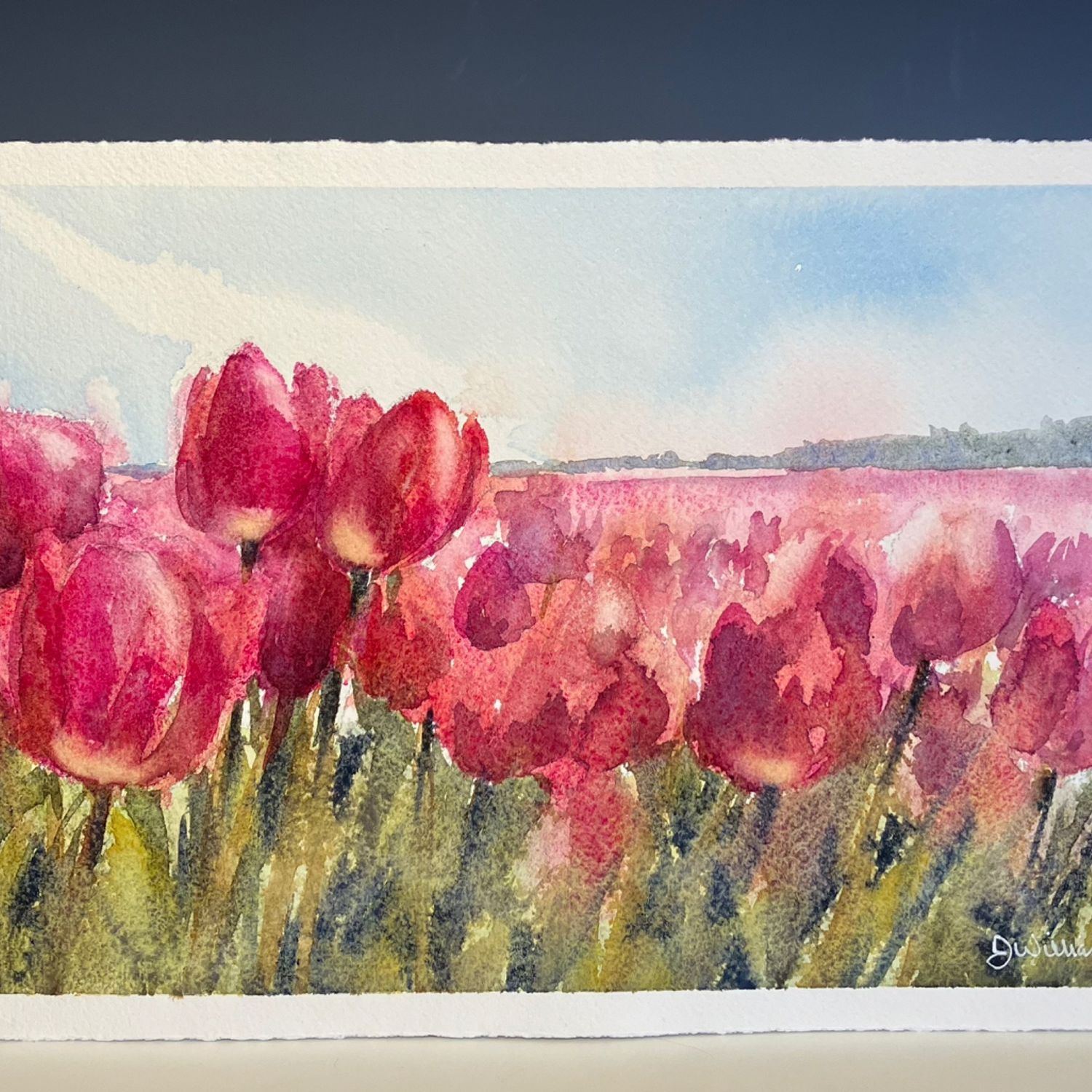 Tulip Fields