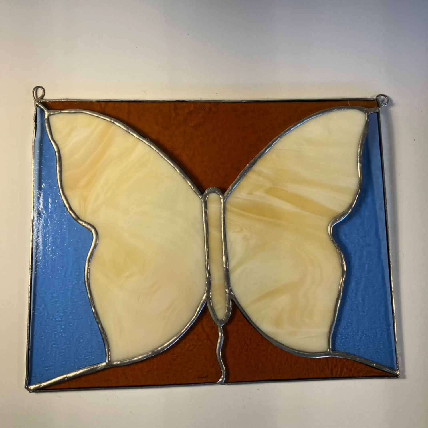 Yellow Marbled Butterfly