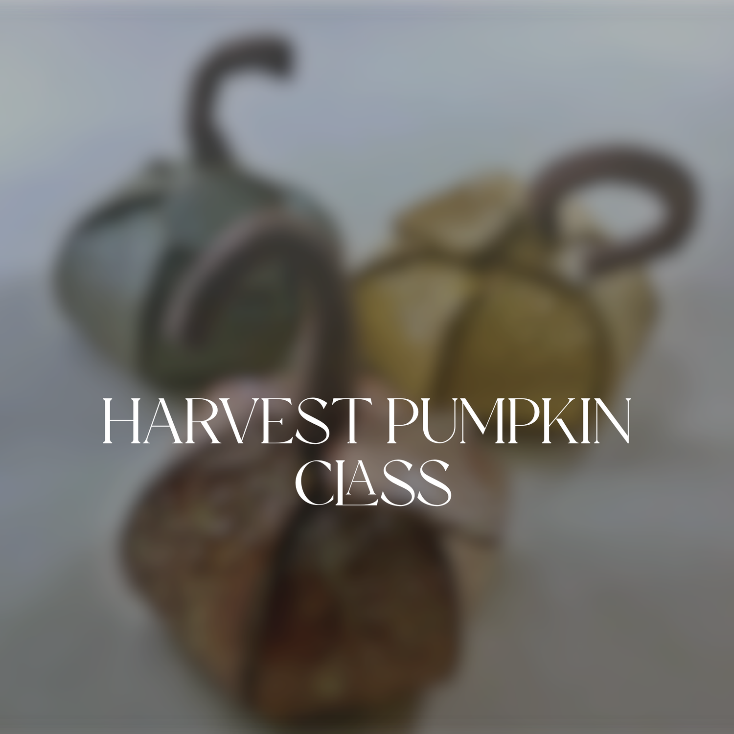 Harvest Pumpkin Class • Ages 14+ • 10/19 • 5:30-6:30pm