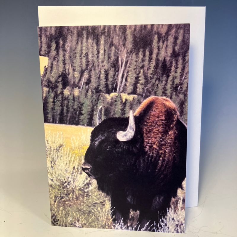 “American Beauty” Prints