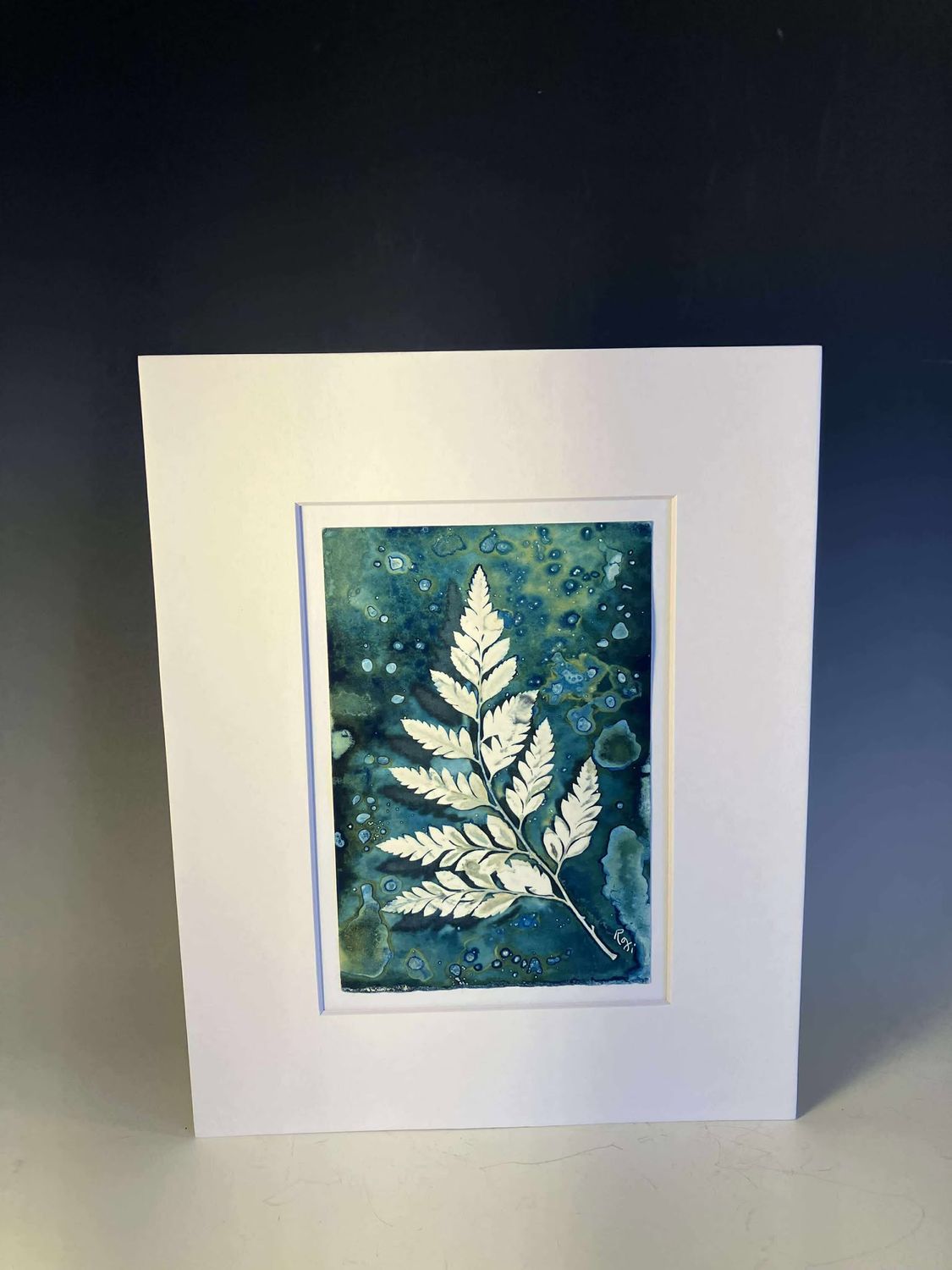 Fern