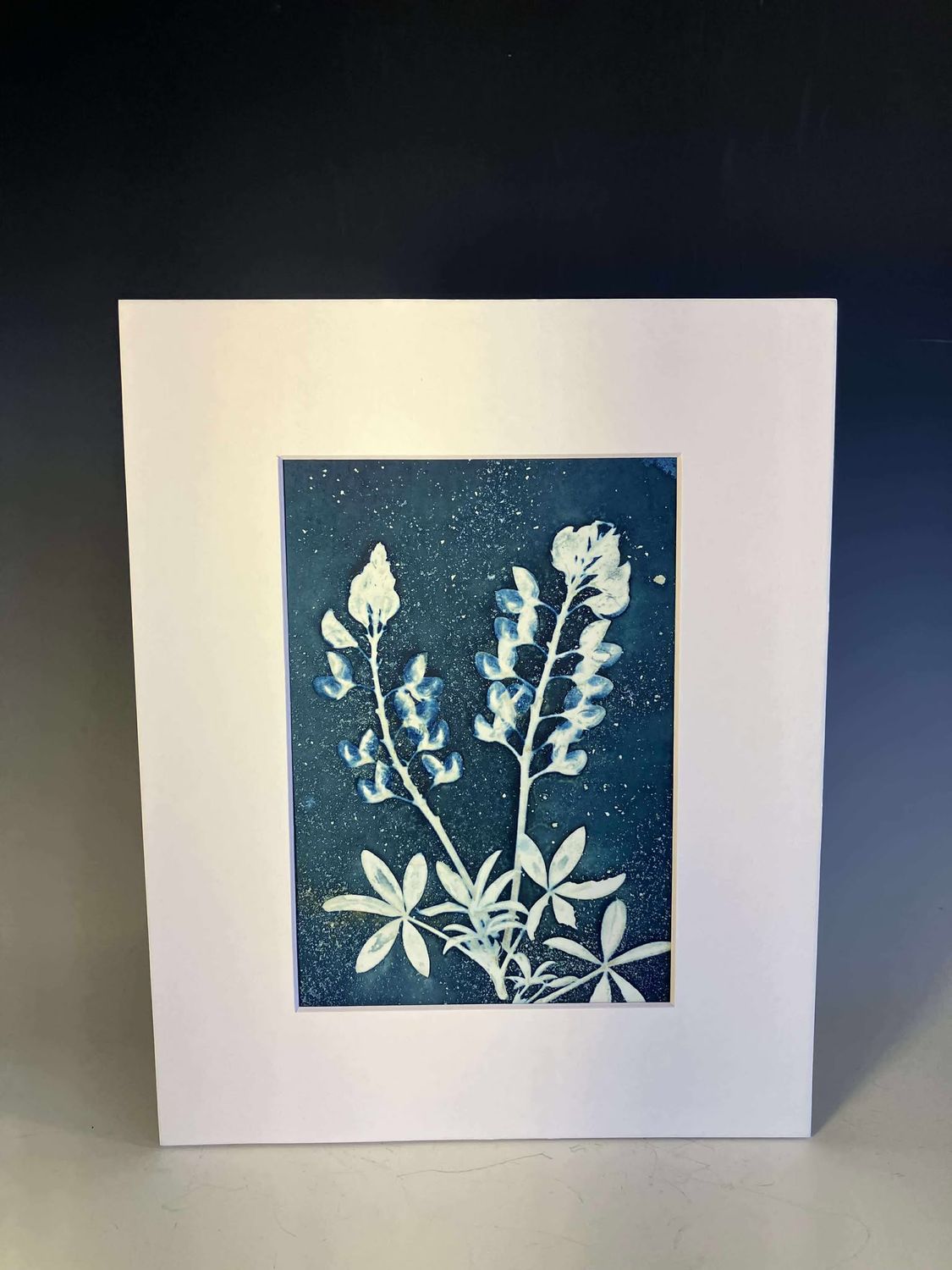 Blue Bonnets