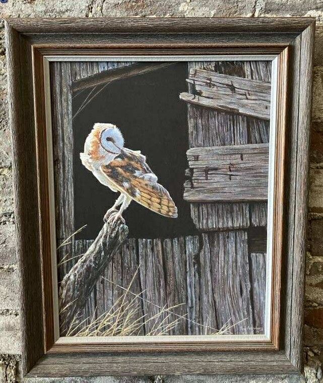 Cool Breeze, Barn Owl