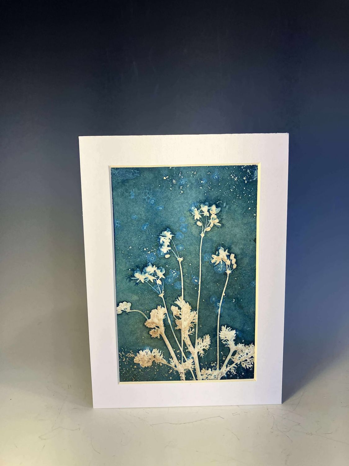 Wild Flowers