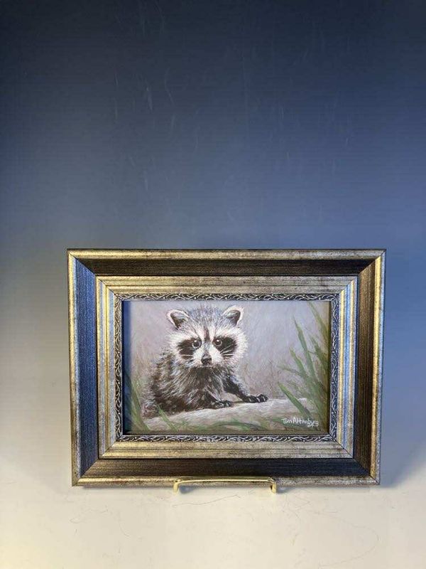 Baby Raccoon