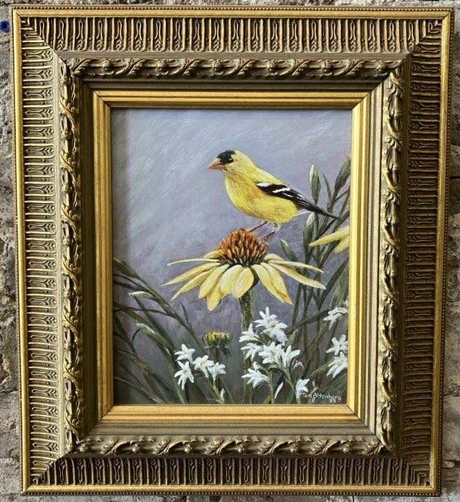 Gold Finch