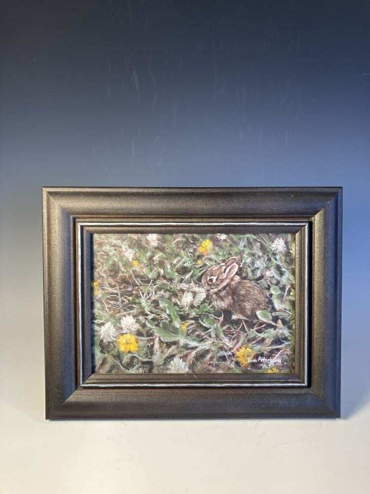Baby Cottontail