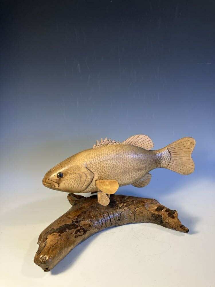 Large Fish Swimmer
