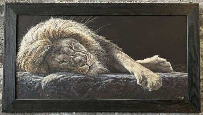 Resting Lion