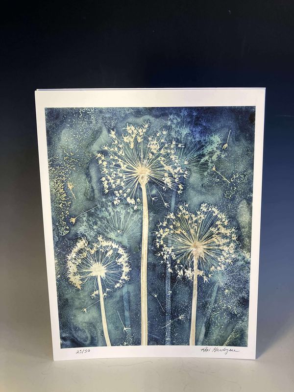 Limited Edition Prints