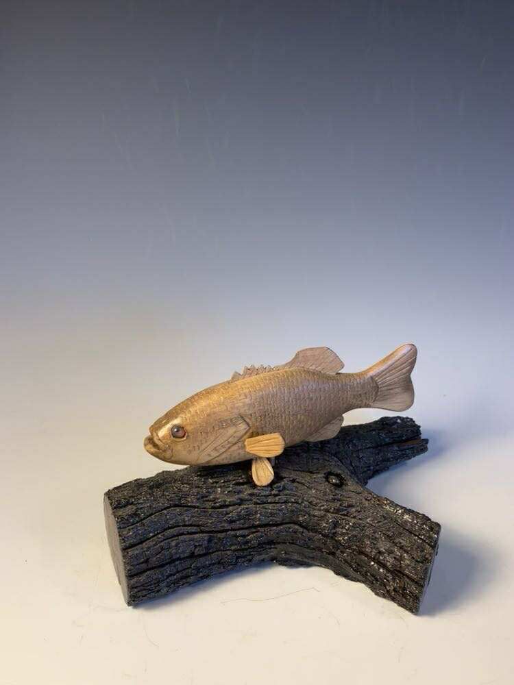 Swimmer