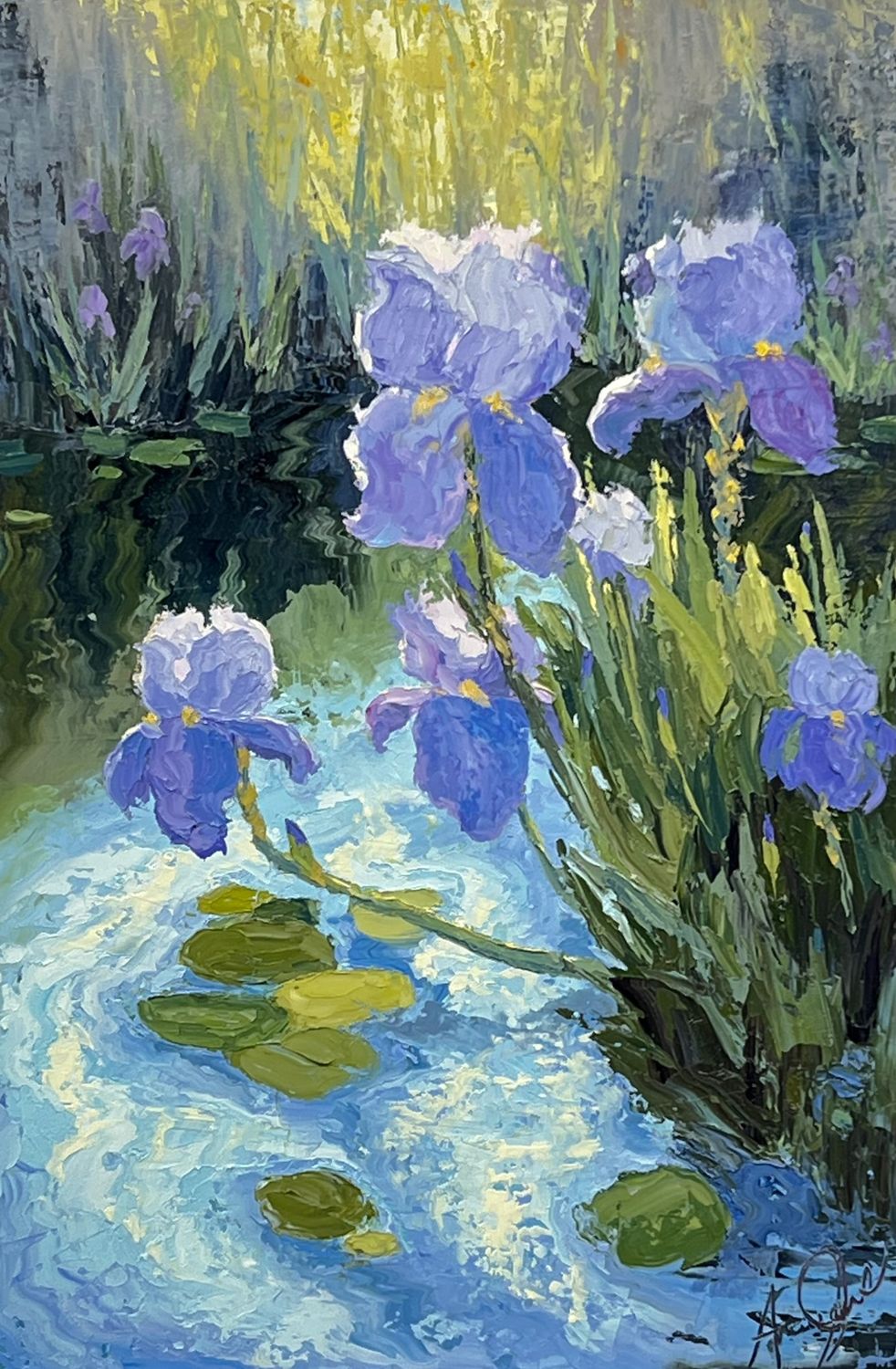 Where Irises Catch the Light