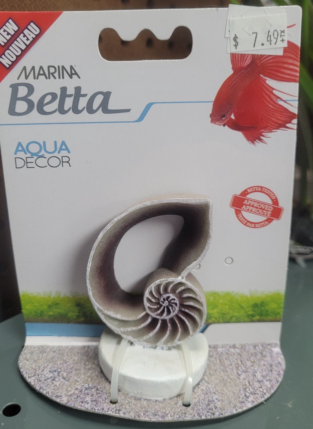 Marina Betta Ornament Sea Shell