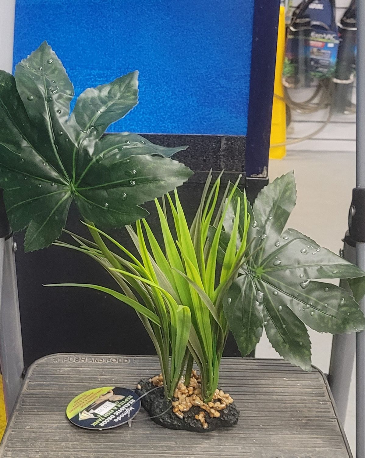 Komodo Rainforest Canopy 42cm
