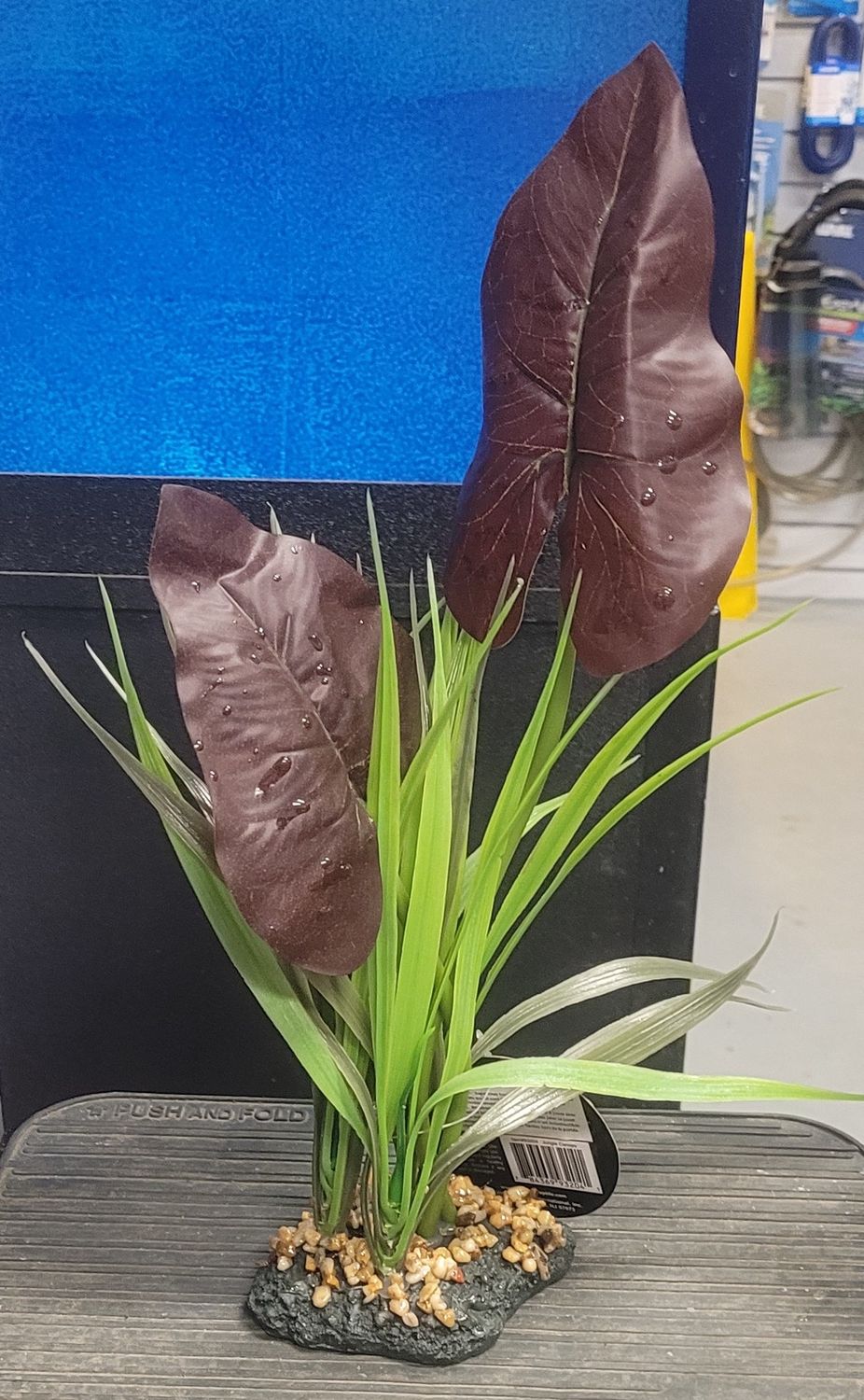 Komodo Rainforest Canopy 38cm