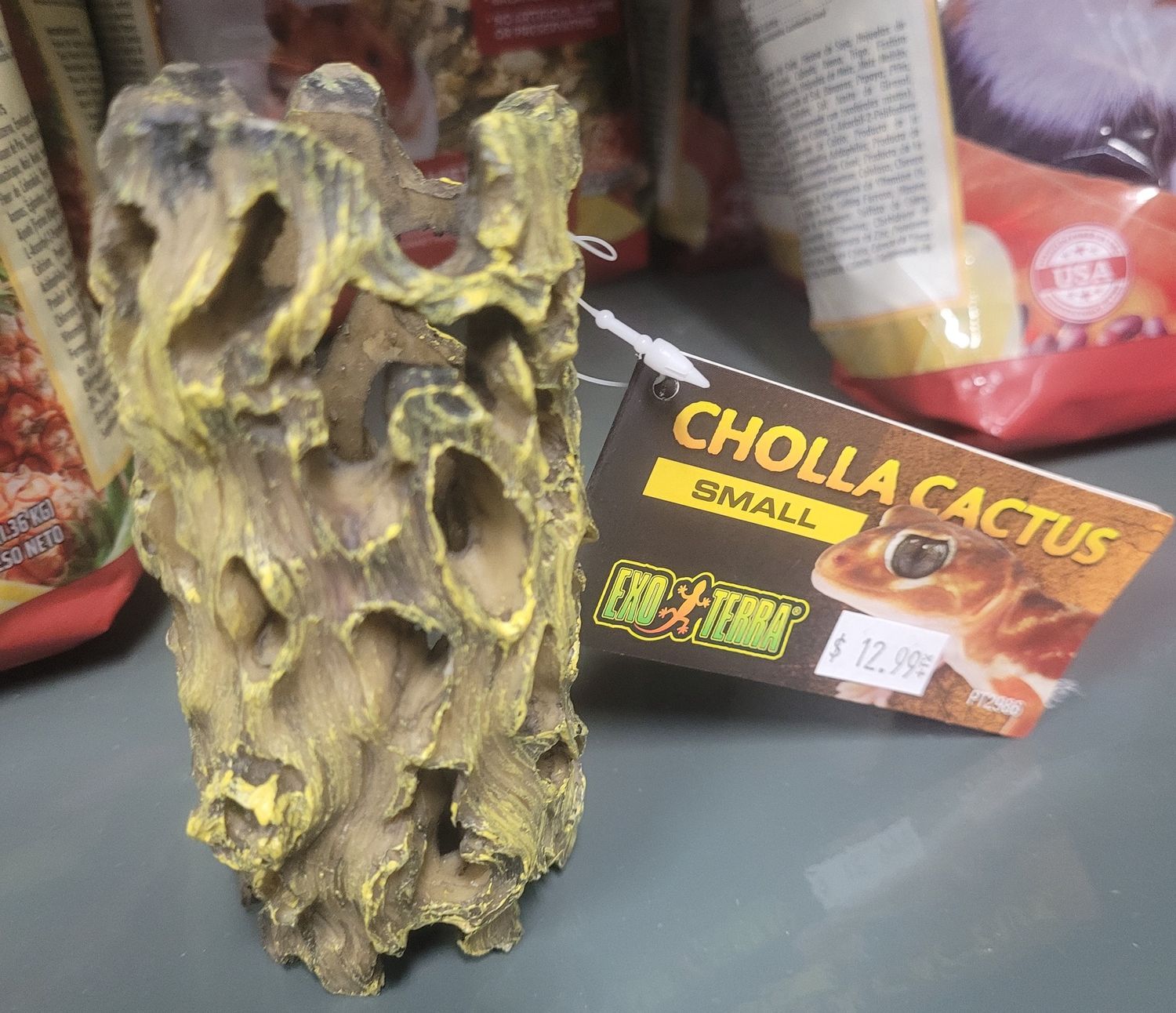 ET Cholla Cactus Sm