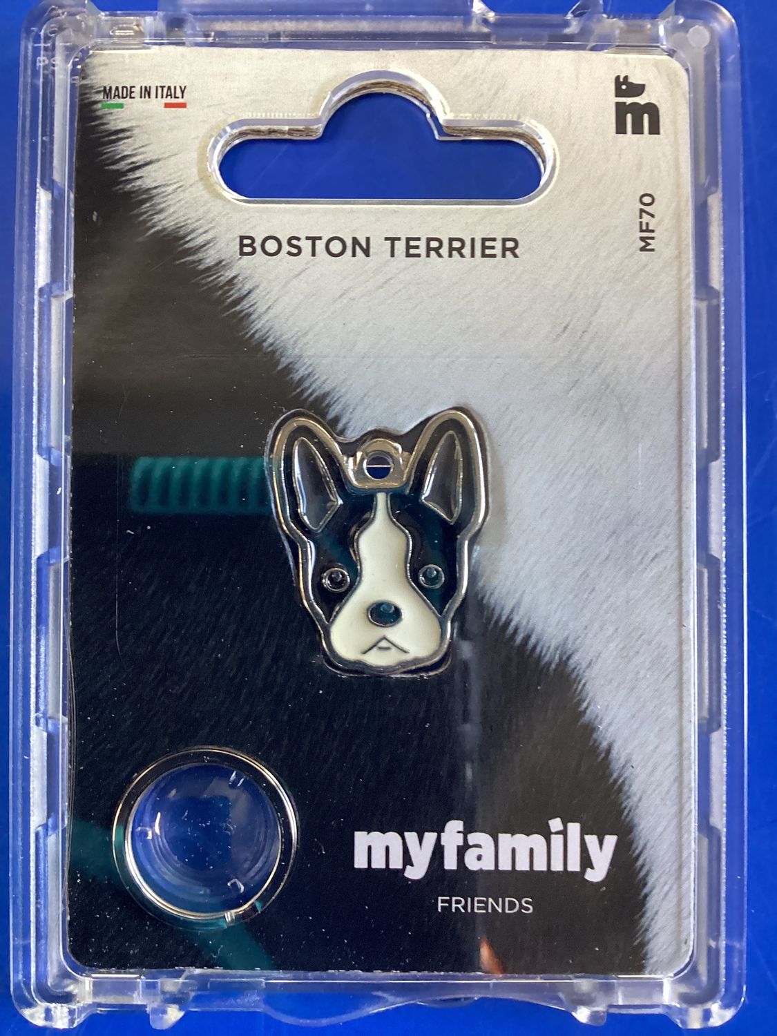 MF Boston Terrier