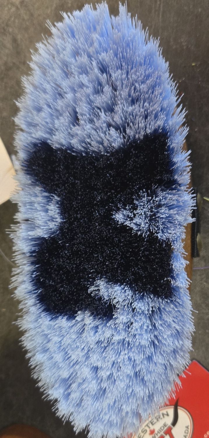 WR Junior Pony Brush-Blue