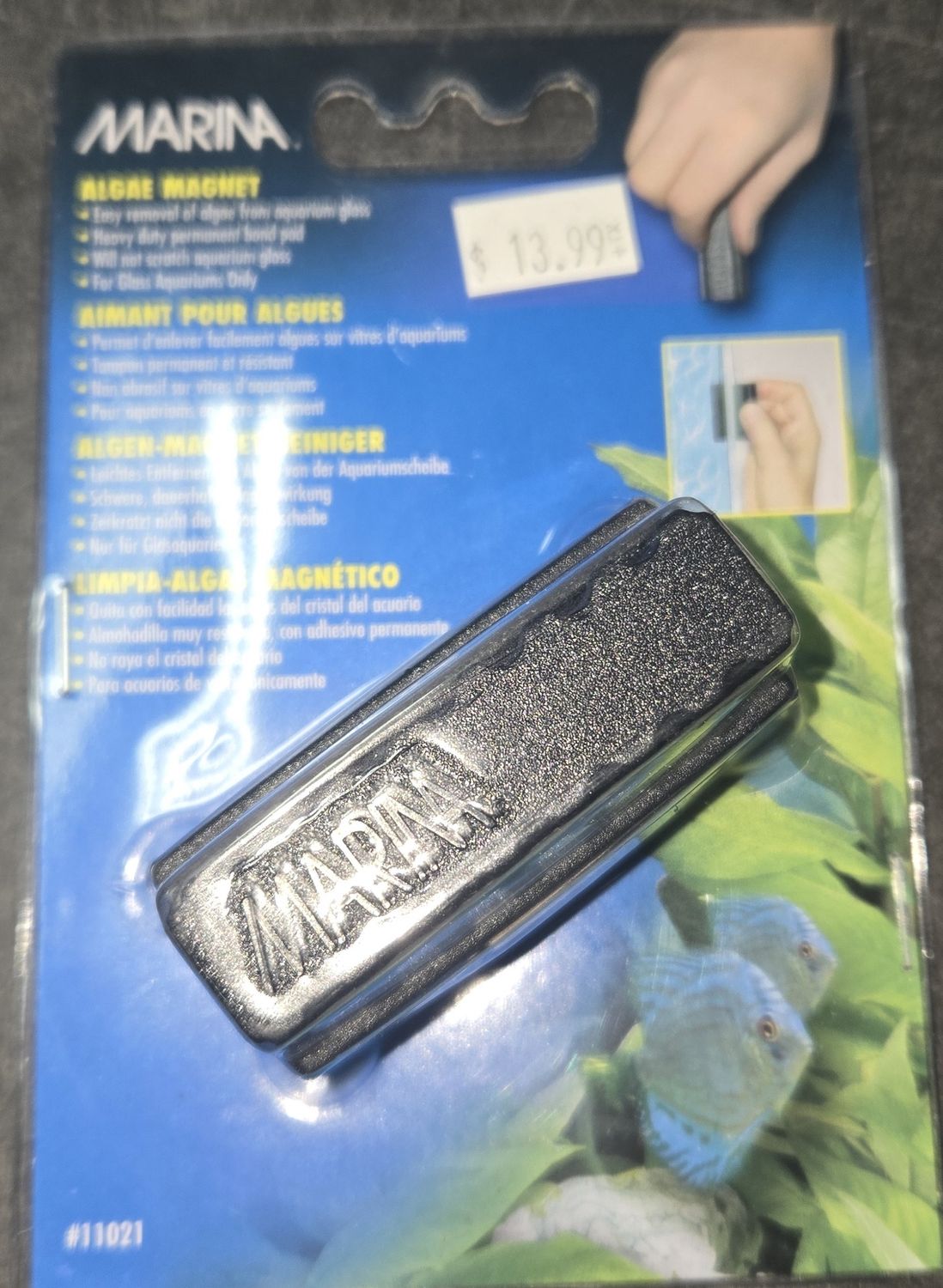 Marina Algae Magnet small