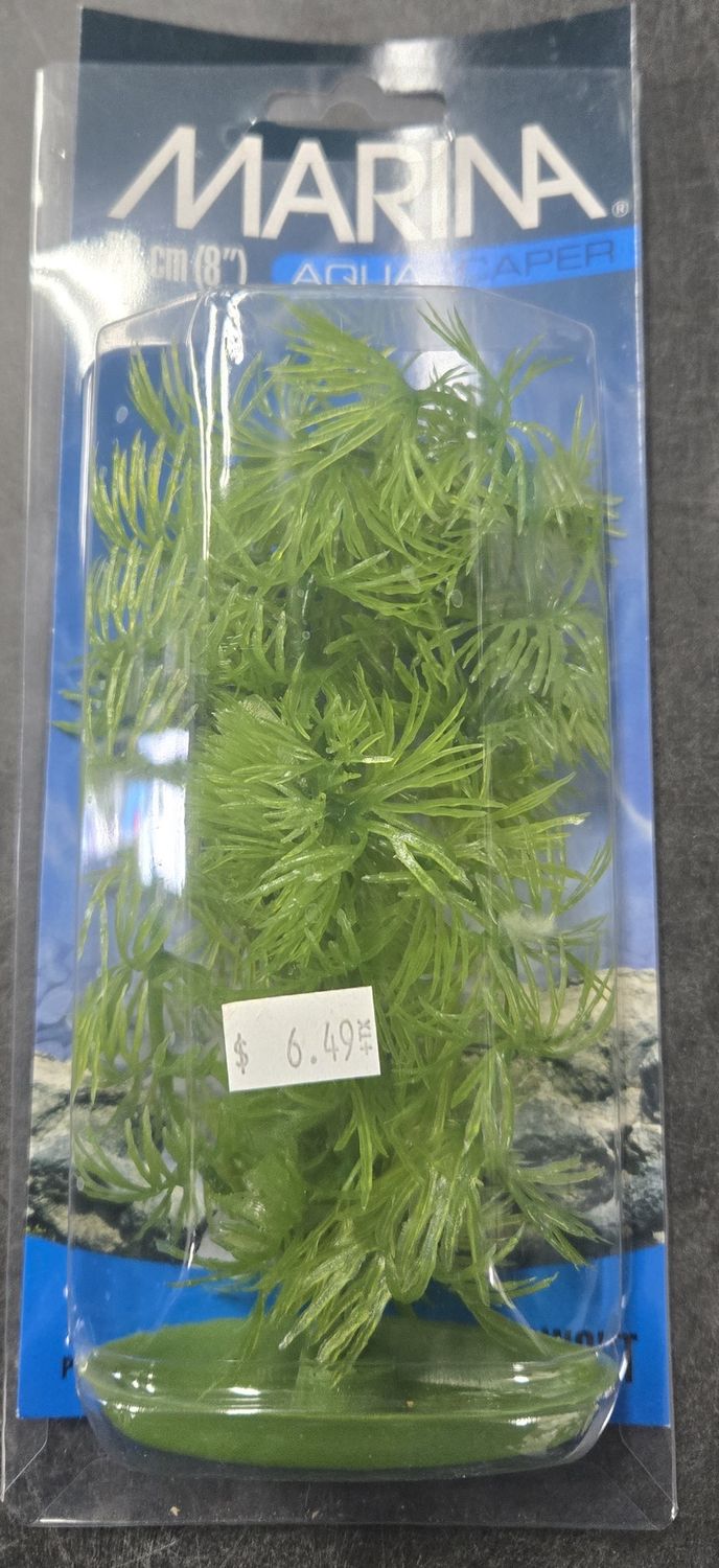 Marina AquaScaper 20cm Hornwort Plant