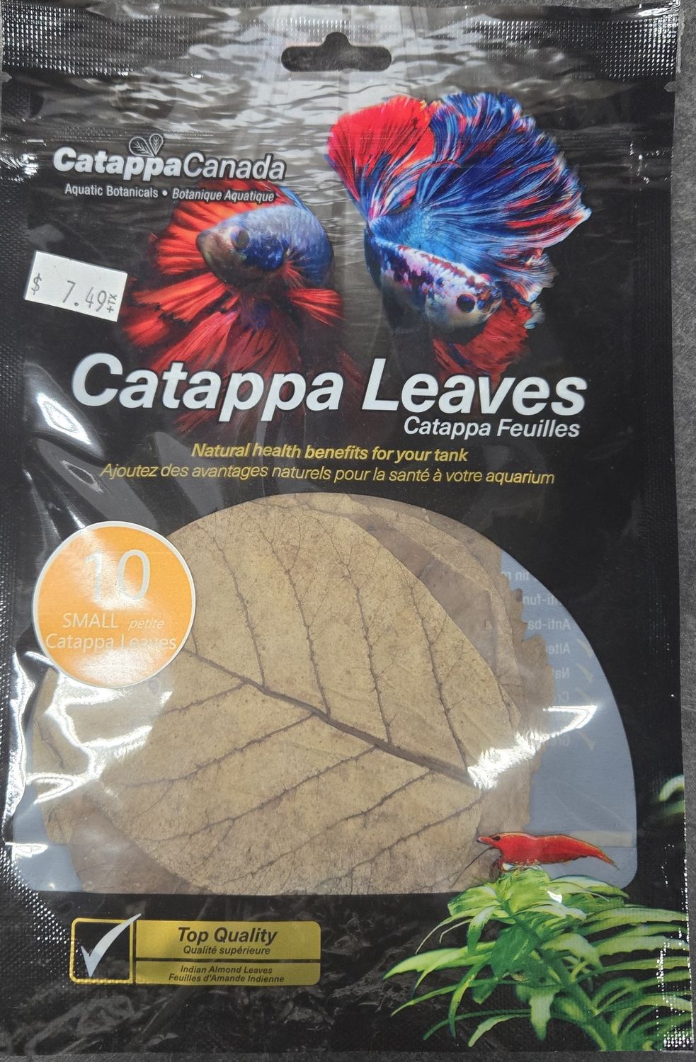 Catappa Leaves small 10pk