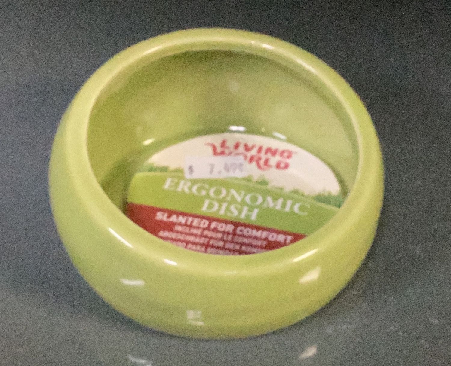 Living World Ceramic Dish sm green