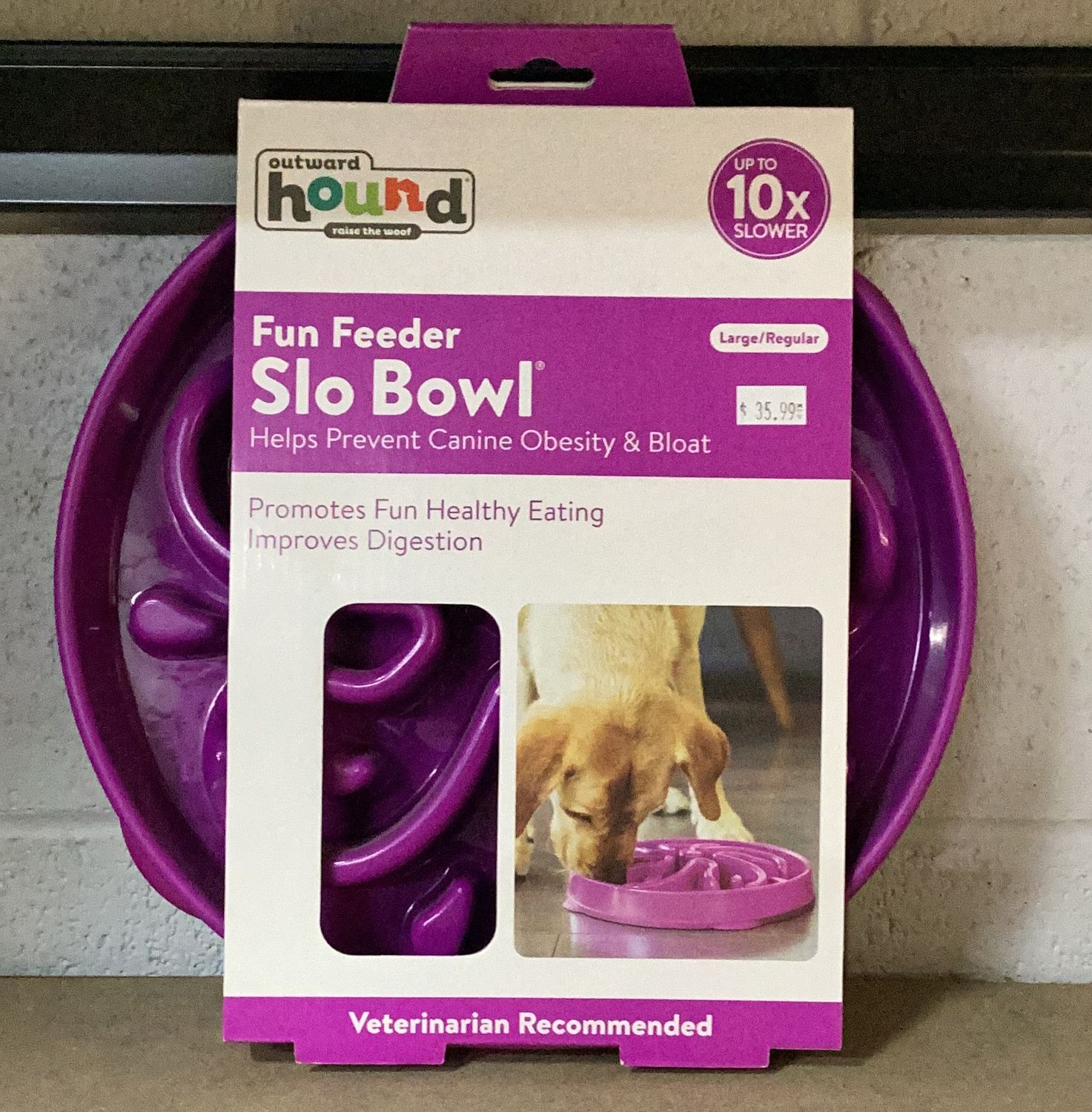 Fun Feeder Slow Bowl Purple  11.5x11.5x2.4"