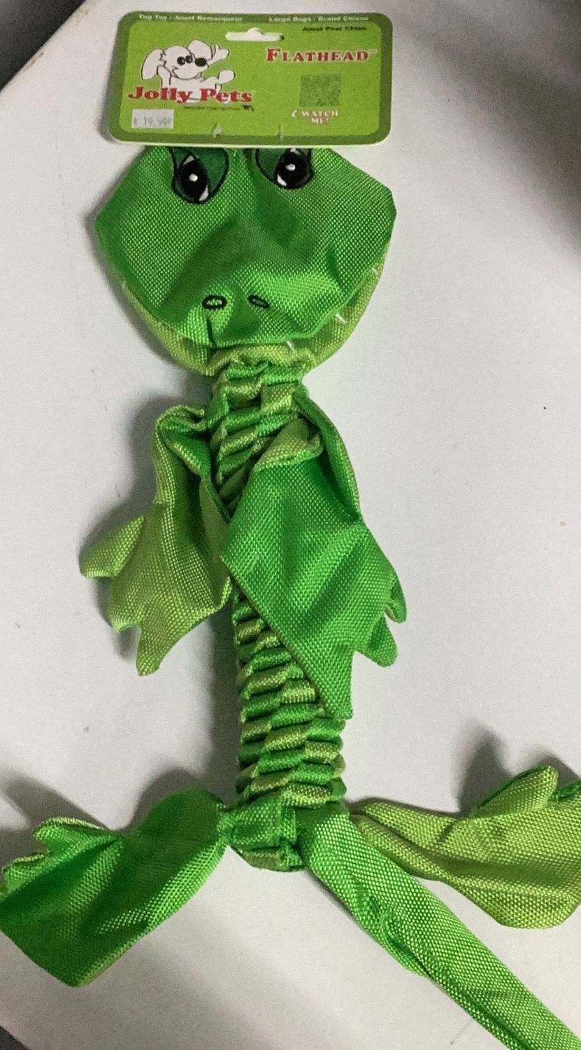 Flathead Alligator Lg