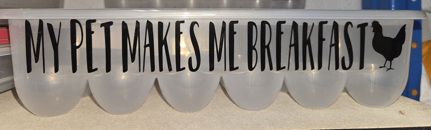 Plastic Egg Cartons with Sayings