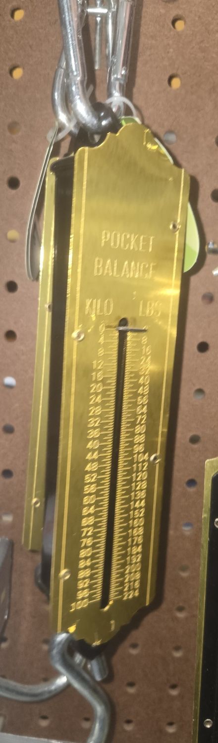 Hanging Spring Scale 100kg