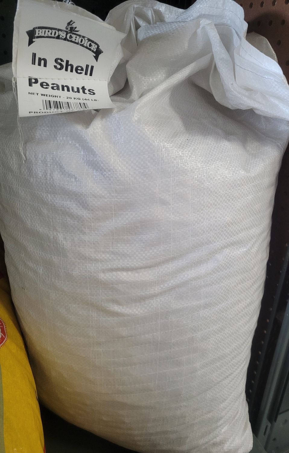 In Shell Peanuts 44LB Bag
