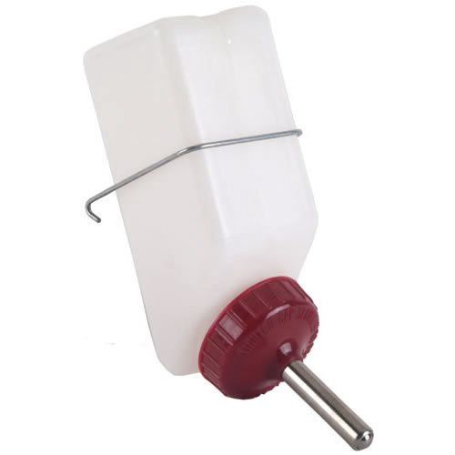 8oz Water Bottle square