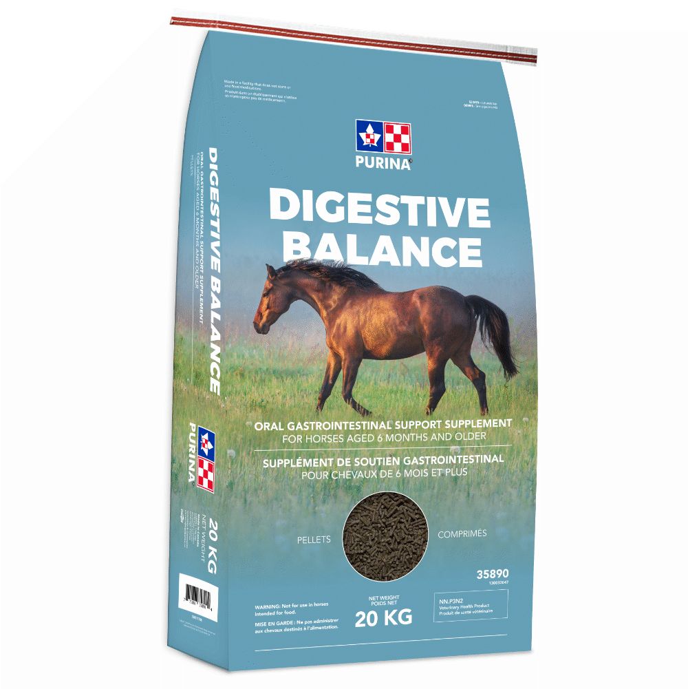 Purina Horse Digestive Balance 20kg
