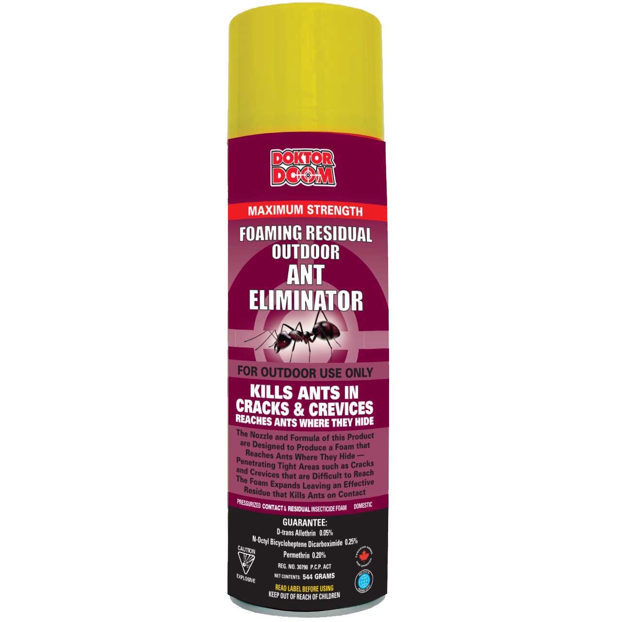 DD Foam Ant Eliminator 544g