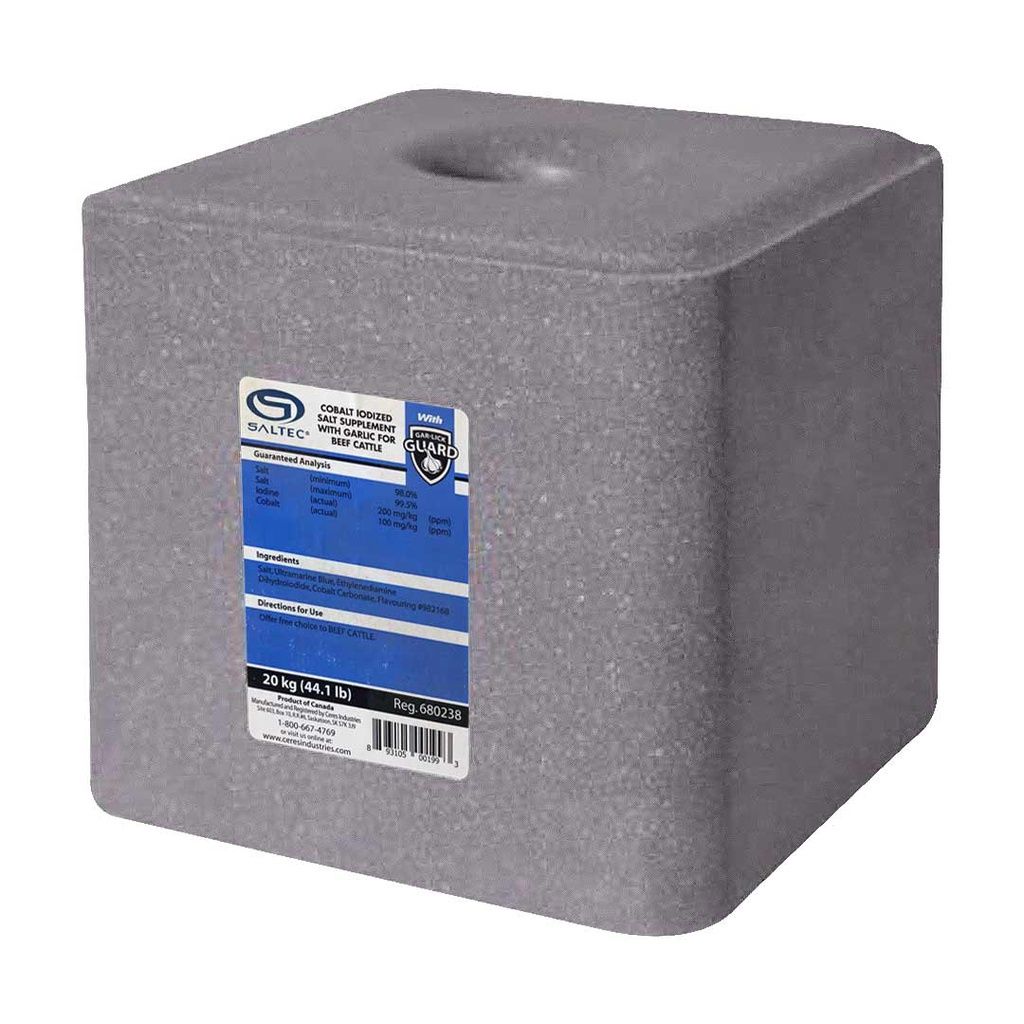 Salt Block Cobalt with Garlic