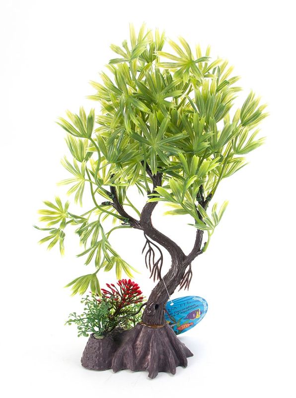 Aqua Fit Green Japanese Maple Bonsai Tree