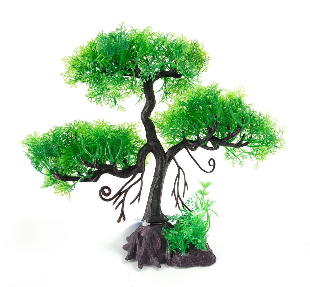 Aqua Fit Green Cedar Upright Bonsai Tree 11&quot;