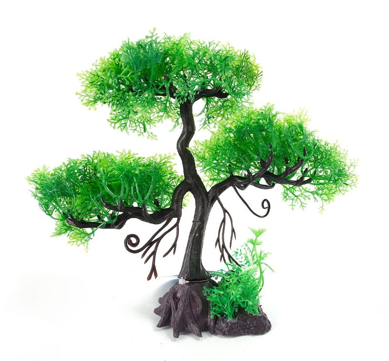 Aqua Fit Green Cedar Upright Bonsai Tree 11&quot;