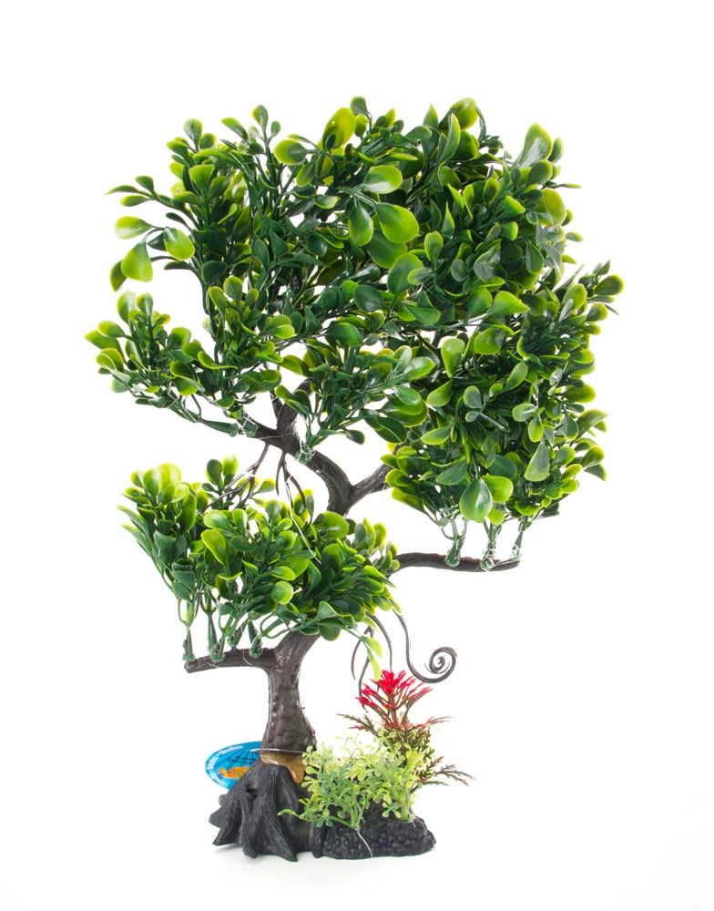 Aqua Fit Green Juniper Bonsai Tree 11&quot;