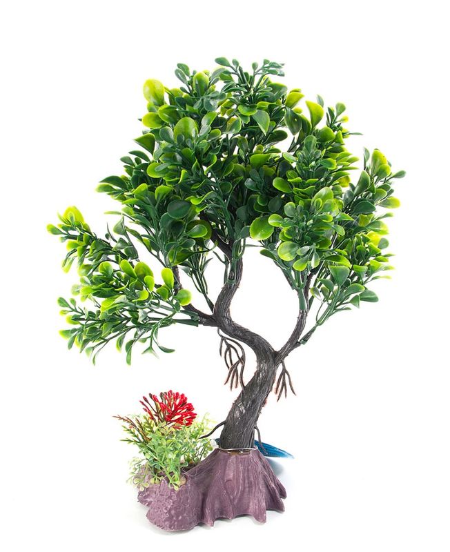 Aqua Fit Green Juniper Bonsai Tree 8&quot;