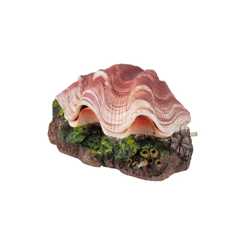 Aqua-Fit Polyresin Aerating Clam Shell