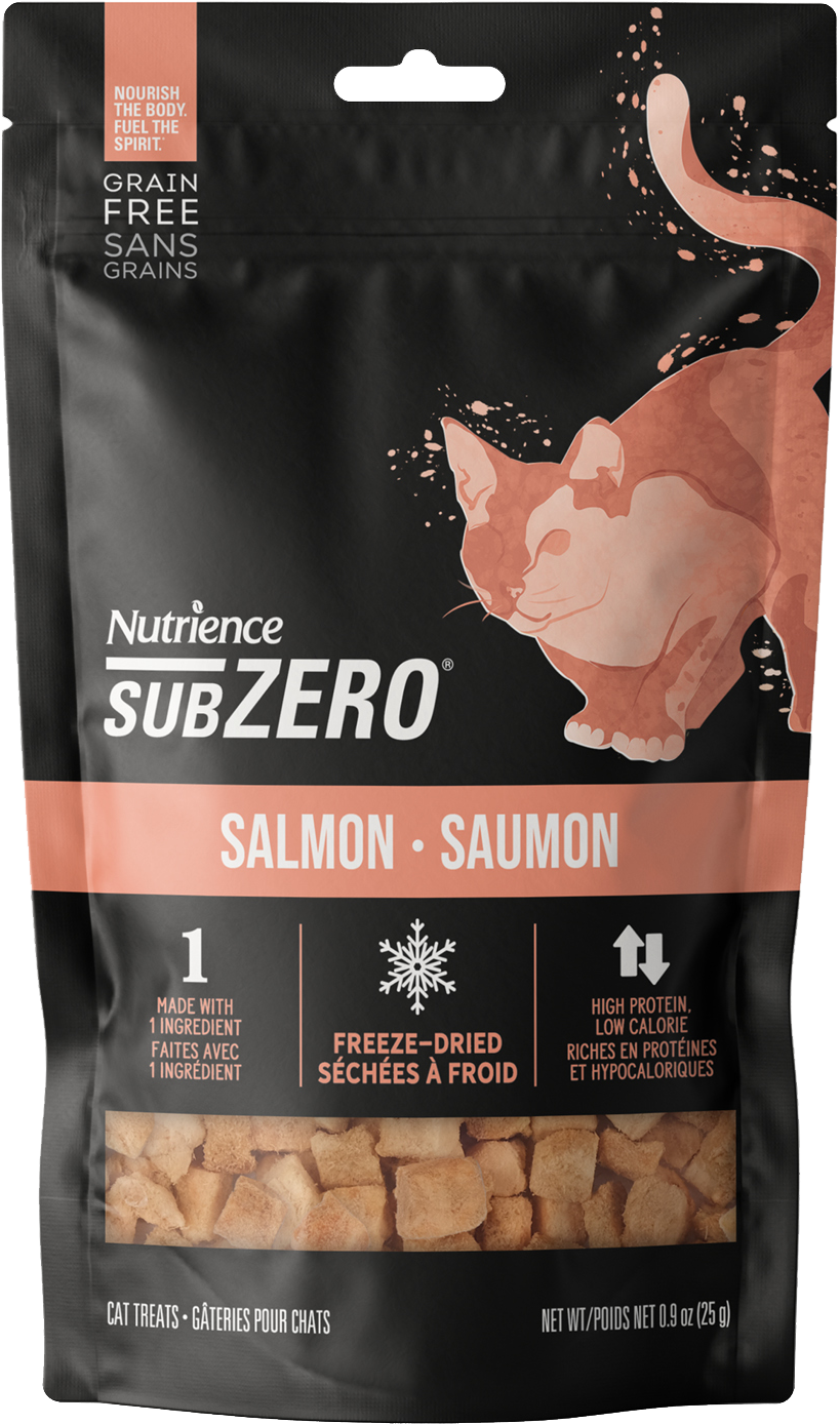 Nutrience SZ FD Salmon 30g