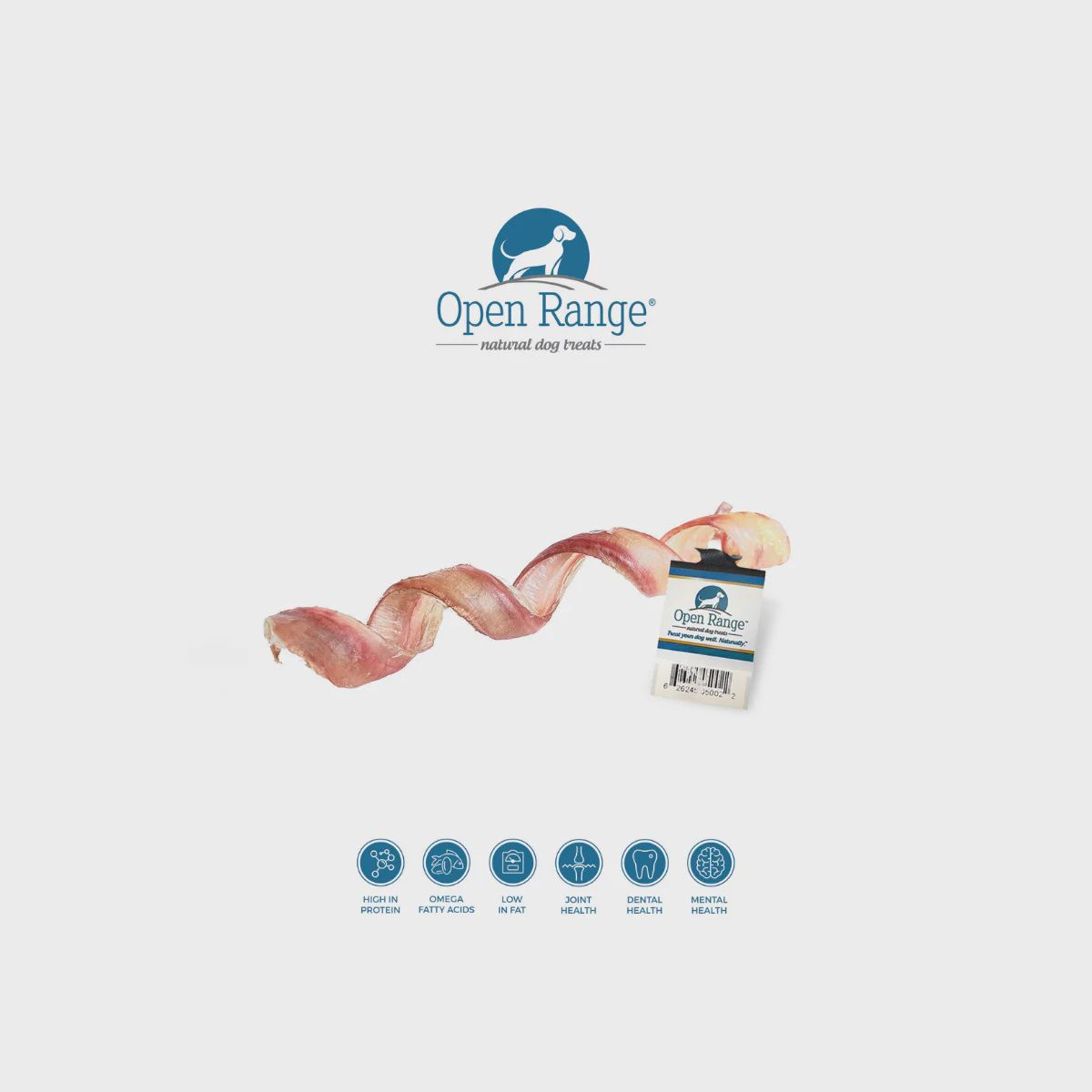Open Range Bully Spring 11-12&quot;