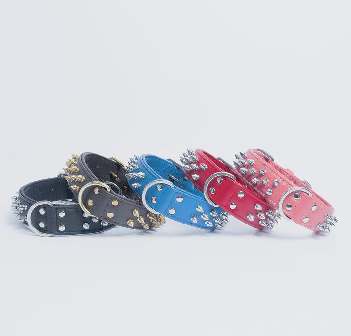 Angel Amsterdam Collar 24&quot;x1.5&quot; Cobalt Blue