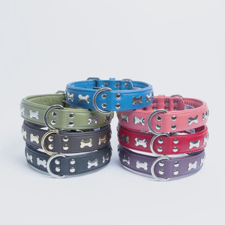 Angel Rotterdam Bones Leather Collar 14&quot;x3/4&quot; Cobalt blue