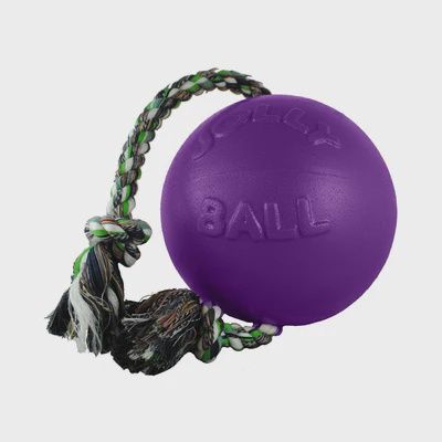 4.5&quot; Romp N Roll Jolly Ball purple