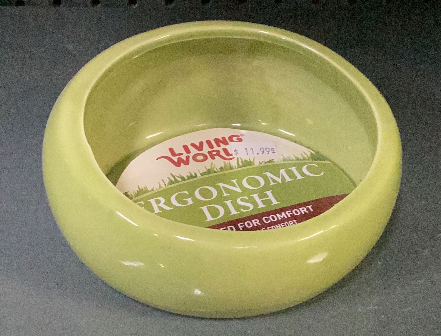 Living World Ceramic Dish Lg green