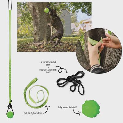 Jolly Pets Tree Tugger Toy green